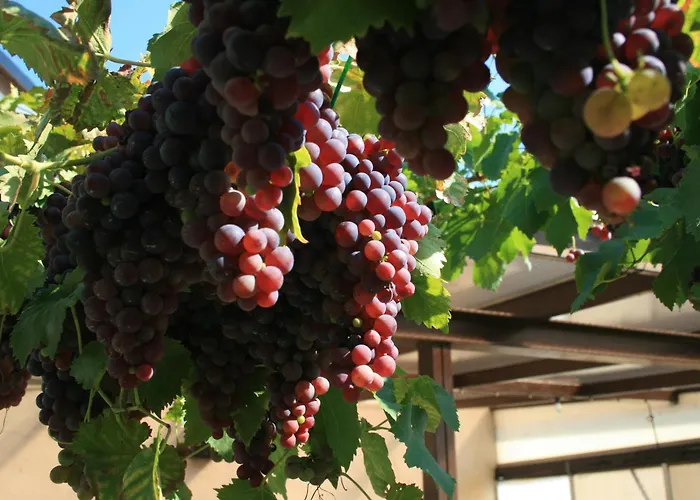 Mosel Weinhotel Steffensberg エンキルヒ