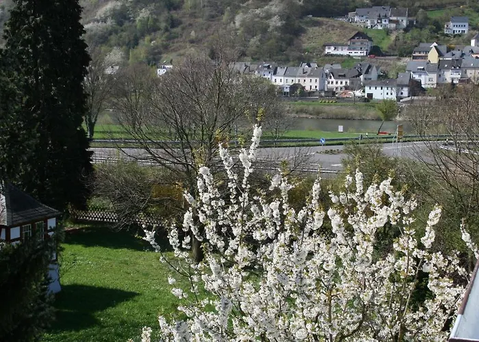 Mosel Weinhotel Steffensberg Hotell 3*